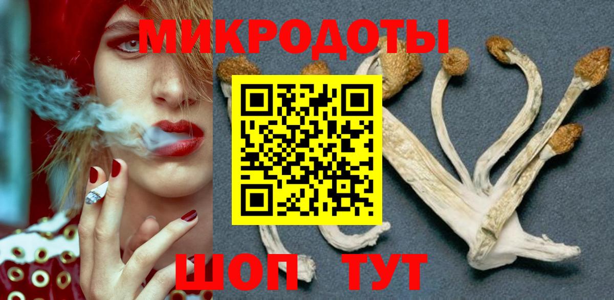 Псилоцибиновые грибы Magic Shrooms Рубцовск