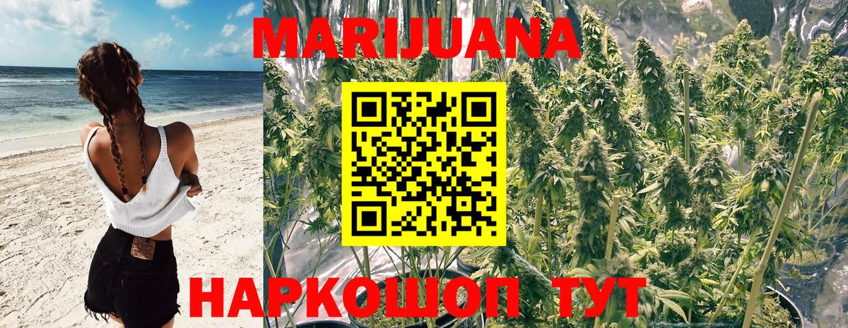 Конопля гибрид  Бошки марихуана планчик  Марихуана THC 21%  Каннабис планчик  Рубцовск  Вход с VPN 